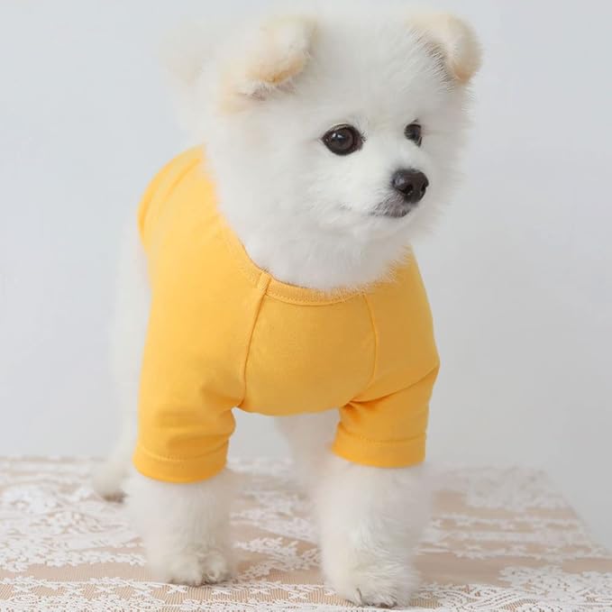 Dog Shirt for Small Dogs Plain T-Shirts Soft Breathable Dog Cotton Shirt pet Clothes (Medium, Yellow)
