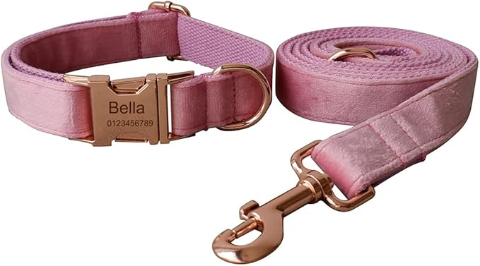 Dog Collar Custom Personalized Engraved Name and Phone Number for Puppy Small Medium Large Pets (M, Pink)