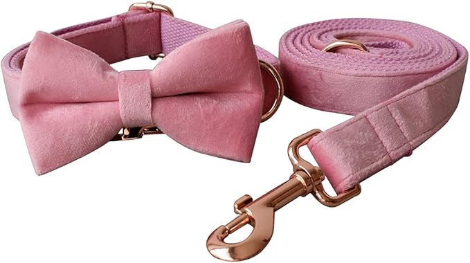 Dog Collar Custom Personalized Engraved Name and Phone Number for Puppy Small Medium Large Pets (XL, Pink)