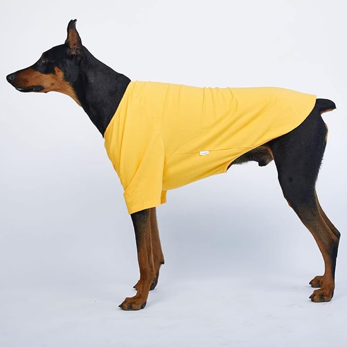 Dog Shirt for Small Dogs Plain T-Shirts Soft Breathable Dog Cotton Shirt pet Clothes (X-Large, Yellow)