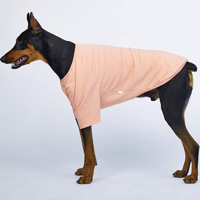 Dog Shirt for Small Dogs Plain T-Shirts Soft Breathable Dog Cotton Shirt pet Clothes (X-Large, Peach)