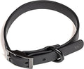 Wild One Dog Collar, Easy-Clean, All Weather Flex-Poly Strap with Metal, Durable, Dirt and Odor Resistant (Black, M)