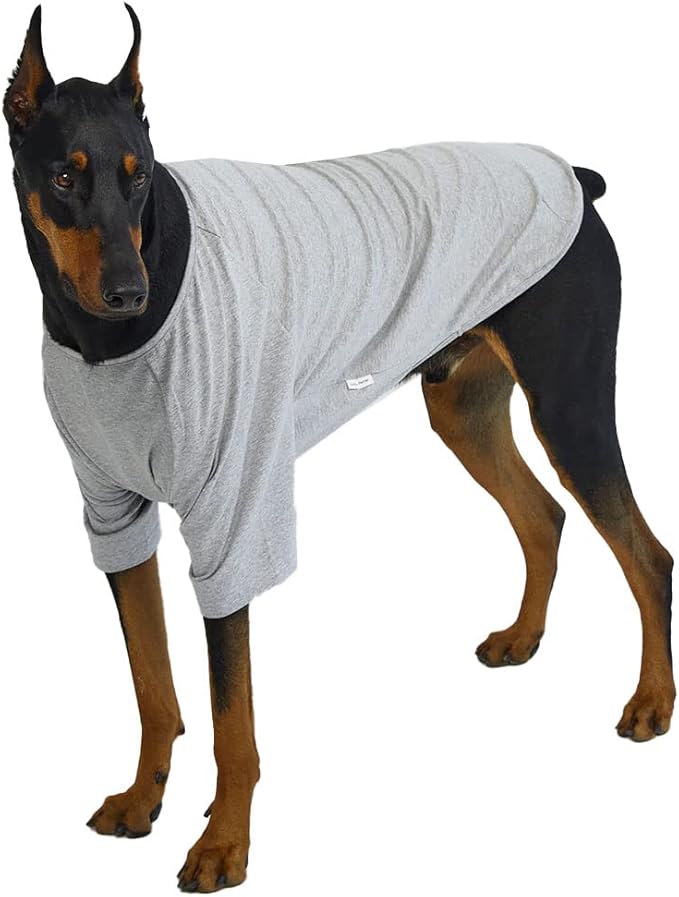 Dog Shirt for Small Dogs Plain T-Shirts Soft Breathable Dog Cotton Shirt pet Clothes (4X-Large, Gray)