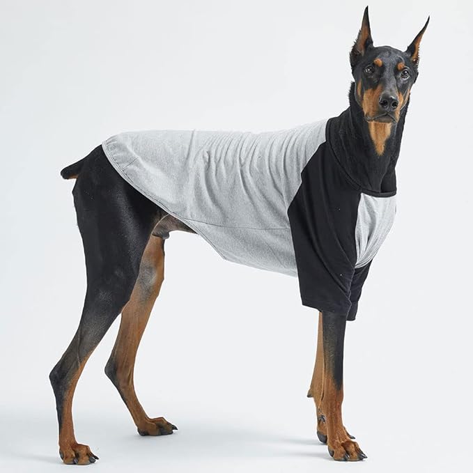 Dog Shirt for Small and Large Dogs Raglan Cotton T-Shirts Soft Breathable Dog Shirts pet Clothes Gray Series (3X-Large, Gray/Black)