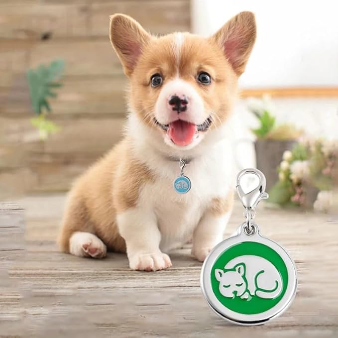 Personalized Pet ID Tags with Lobster Claw Clasp for Kittens and Cats - Small pet Tags for Cats, cat Name Tags for Collar, Custom cat id tag (Sleeping-Round-Small: Green)