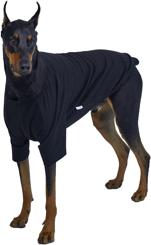 Dog Shirt for Small Dogs Plain T-Shirts Soft Breathable Dog Cotton Shirt pet Clothes (2X-Large, Black)