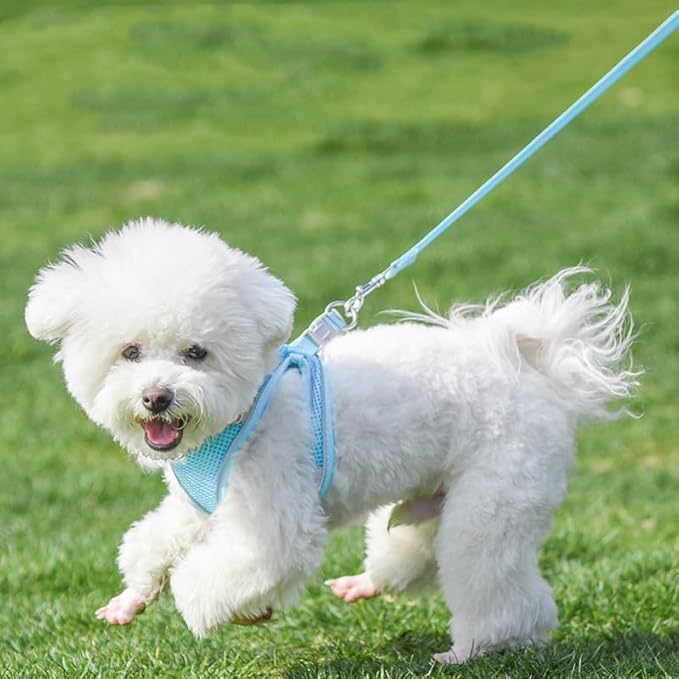 AIITLE Escape Proof Dog Harness - Step in Adjustable Dog Harness No Choke Over with Breathable Mesh and Quick-Release Buckle for Summer- Outdoor Walking, Camping for Medium Dogs Pure Blue XL
