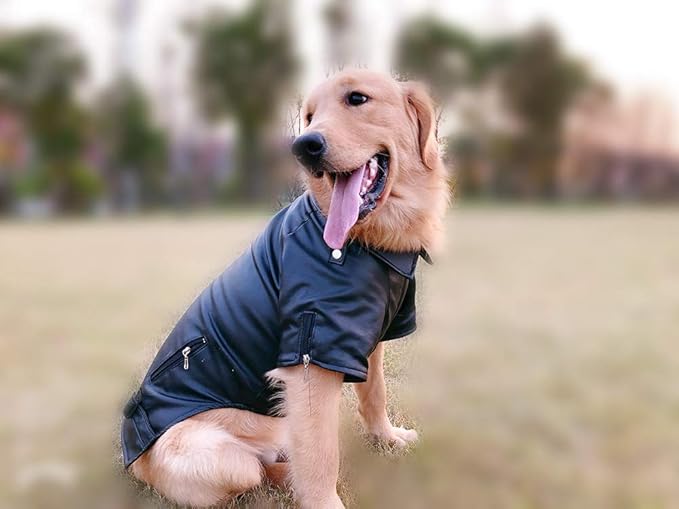 Lovelonglong Cool Dog Leather Jacket, Warm Coats Dogs Windproof Cold Weather Coats for Large Medium Small Dogs, Husky Clothing Black L-M