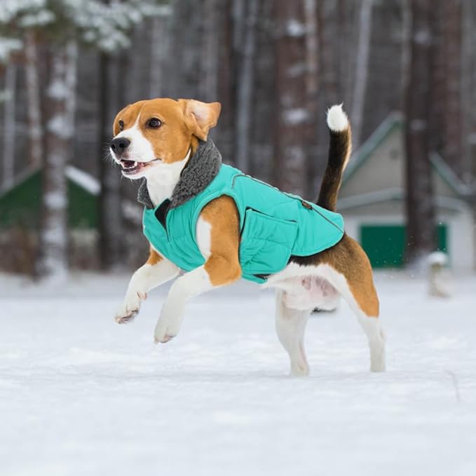 EMUST Pet Vests for Winter, Fleece Lined Dog Coat for Cold Weather Warm Dog Jackets for Small Medium Large Dogs, Pet Apparel for Cold Weather, Turquoise, XXXL