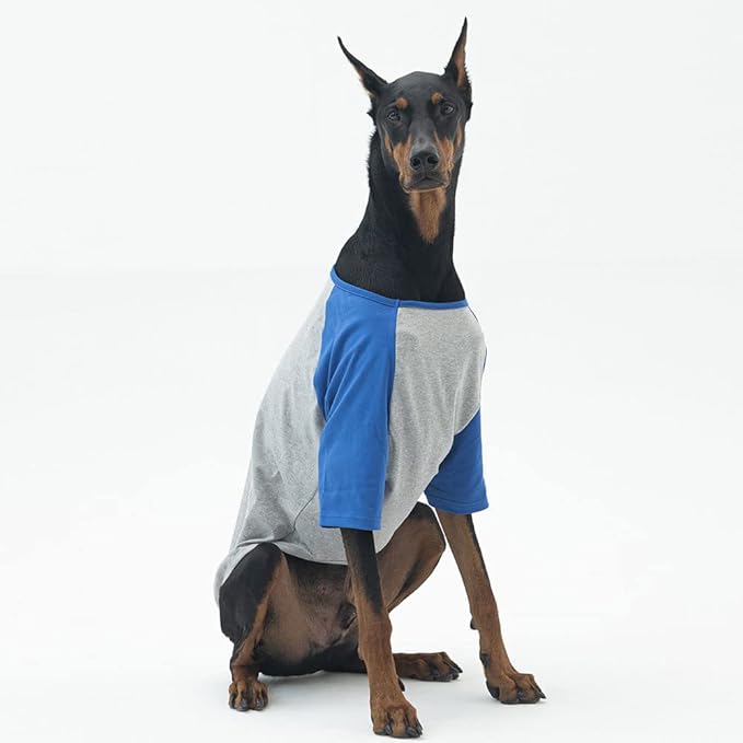 Dog Shirt for Small and Large Dogs Raglan Cotton T-Shirts Soft Breathable Dog Shirts pet Clothes Gray Series (4X-Large, Gray/Blue)