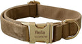 Dog Collar Custom Personalized Engraved Name and Phone Number for Puppy Small Medium Large Pets (M, Khaki)