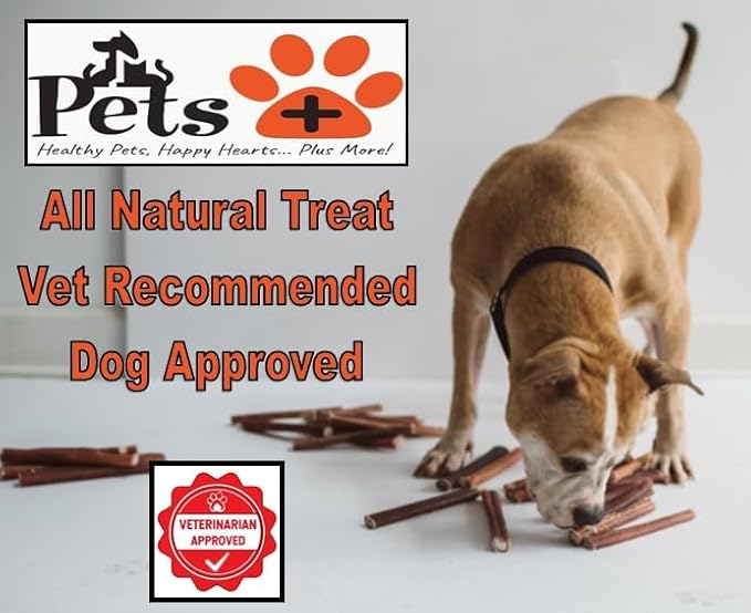 Pets Plus Premium Bart's Bully Sticks for Dogs – 6 Inch, Medium Size, All-Natural, Long-Lasting Chews for Moderate Chewers – High Protein, Low Odor, Grain-Free (15-Pack)