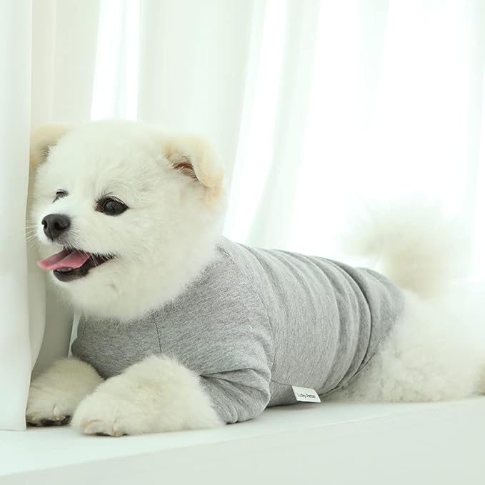 Dog Shirt for Small Dogs Plain T-Shirts Soft Breathable Dog Cotton Shirt pet Clothes (X-Small, Gray)