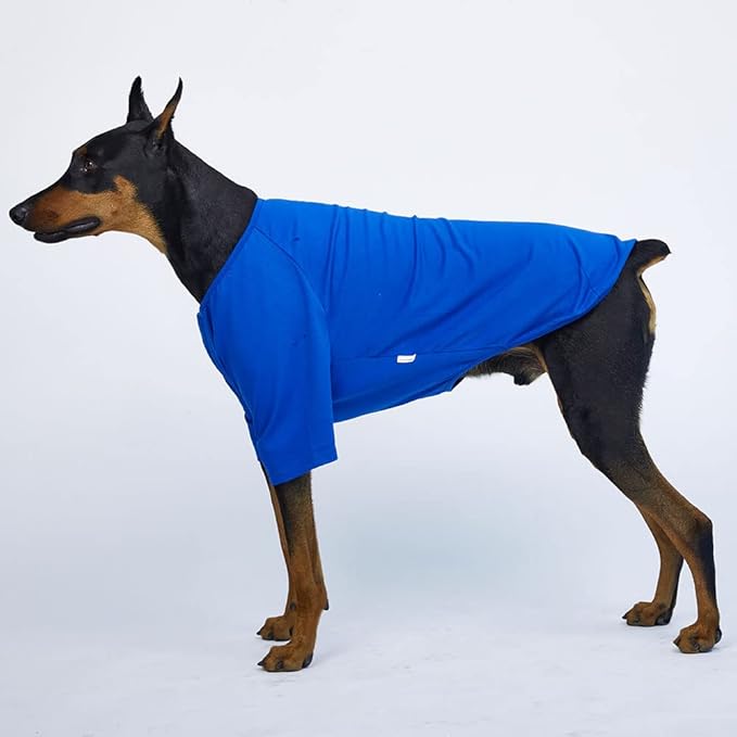 Dog Shirt for Small Dogs Plain T-Shirts Soft Breathable Dog Cotton Shirt pet Clothes (5X-Large, Blue)