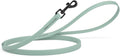 Dogline Biothane Waterproof Dog Leash Strong Coated Nylon Webbing with Black Hardware Odor-Proof Easy to Clean High Performance for Small or Large Dogs Made in USA 4 or 6 ft Lead, Sage Green