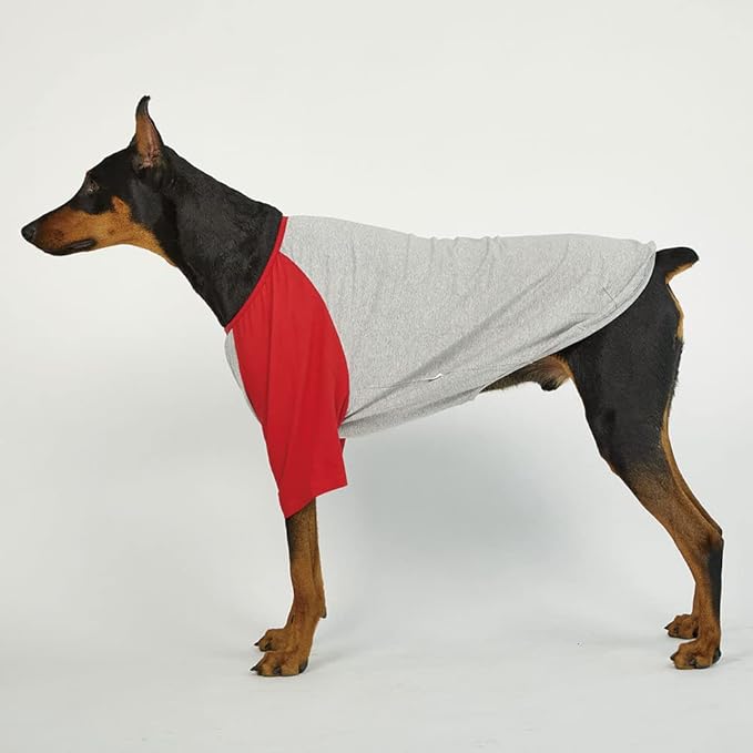 Dog Shirt for Small and Large Dogs Raglan Cotton T-Shirts Soft Breathable Dog Shirts pet Clothes Gray Series (3X-Large, Gray/Red)
