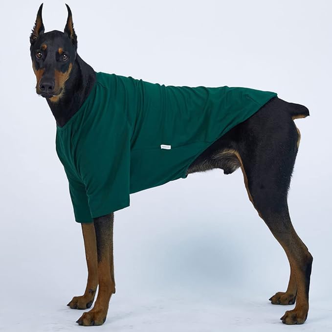 Dog Shirt for Small Dogs Plain T-Shirts Soft Breathable Dog Cotton Shirt pet Clothes (5X-Large, Green)
