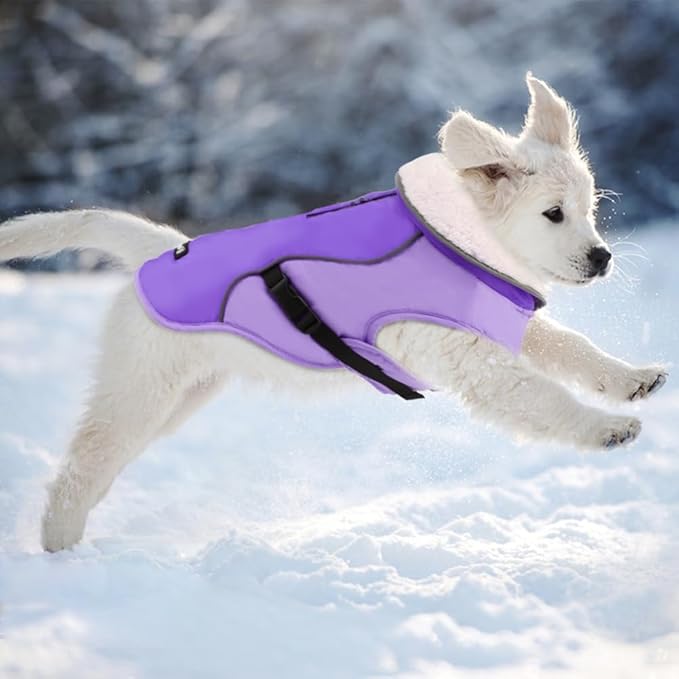 EMUST Winter Dog Jacket, Windproof Dog Apparel for Cold Weather, Reflective Coats for Dogs, Warm Puppy Jacket for Cold Winter, New Purple, S