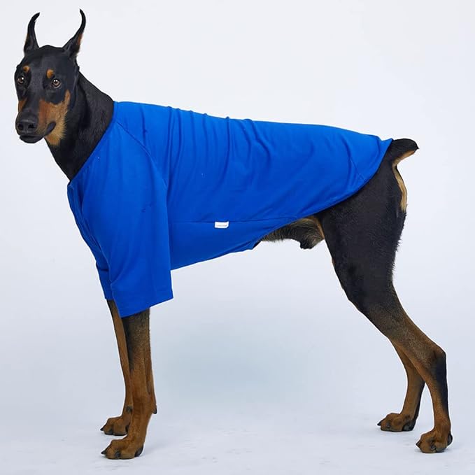 Dog Shirt for Small Dogs Plain T-Shirts Soft Breathable Dog Cotton Shirt pet Clothes (3X-Large, Blue)