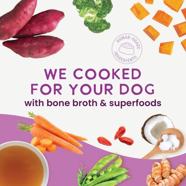 Health Extension Gently Cooked Grain-Free Vegetarian Formula Dog Food, Human-Grade & Shelf-Stable with Superfoods, Supports Digestion, Immunity, Skin & Coat, 9 oz Pouch (Pack of 1)