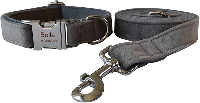 Dog Collar Custom Personalized Engraved Name and Phone Number for Puppy Small Medium Large Pets (M, Grey)