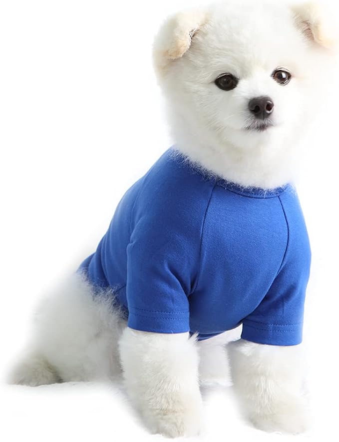 Dog Shirt for Small Dogs Plain T-Shirts Soft Breathable Dog Cotton Shirt pet Clothes (Medium, Blue)