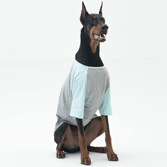 Dog Shirt for Small and Large Dogs Raglan Cotton T-Shirts Soft Breathable Dog Shirts pet Clothes Gray Series (2X-Large, Gray/Mint)