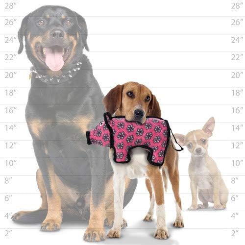 TUFFY -World's Tuffest Soft Dog Toy- Zoo Jr Bear & Jr Pig- Combo Pack- Squeaker -Multiple Layers. Made Durable, Strong & Tough. Interactive Play(Tug, Toss & Fetch).Machine Washable & Floats.
