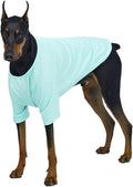 Dog Shirt for Small Dogs Plain T-Shirts Soft Breathable Dog Cotton Shirt pet Clothes (X-Large, Mint)