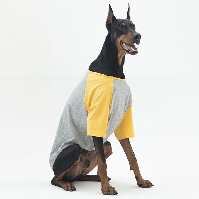 Dog Shirt for Small and Large Dogs Raglan Cotton T-Shirts Soft Breathable Dog Shirts pet Clothes Gray Series (X-Large, Gray/Yellow)