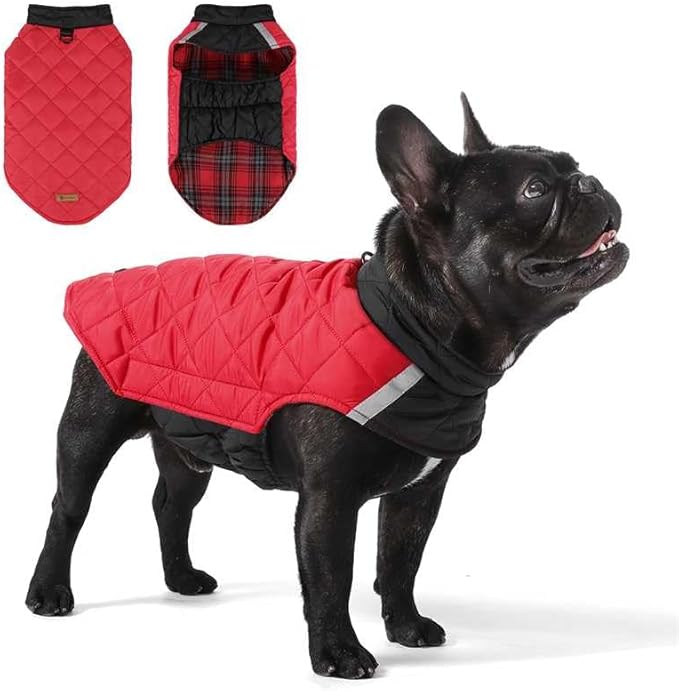 Reversible Waterproof Dog Coat - Adjustable Winter Jacket for Small to Large Breeds, Warm Cold Weather Apparel for Medium Dogs (Red & Black, 2X-Large (Pack of 1))