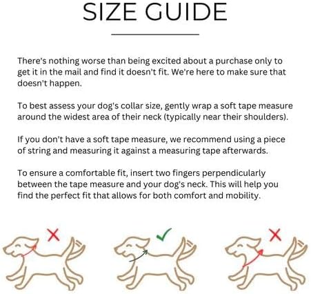Two Tails Pet Company Cactus Vegan Leather Dog Collar, Adjustable Pet Collar with Gold Hardware and D Rings for Leash and ID Tag for Dogs and Puppies, Easy to Clean & Eco Friendly, Green, Size Small
