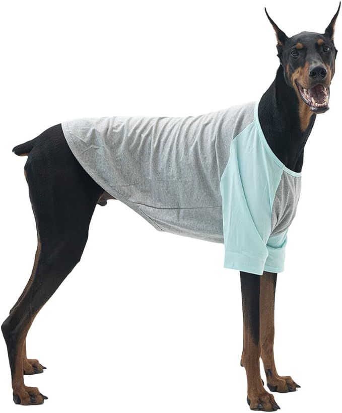 Dog Shirt for Small and Large Dogs Raglan Cotton T-Shirts Soft Breathable Dog Shirts pet Clothes Gray Series (4X-Large, Gray/Mint)