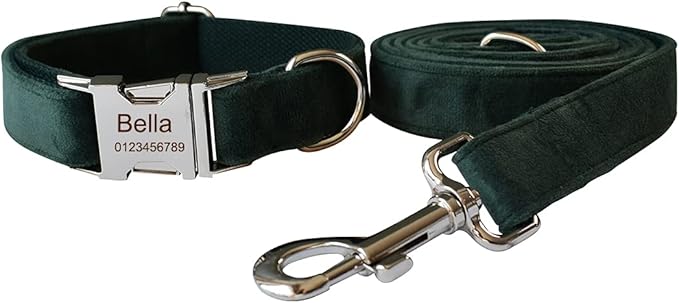 Dog Collar Custom Personalized Engraved Name and Phone Number for Puppy Small Medium Large Pets (L, Green)