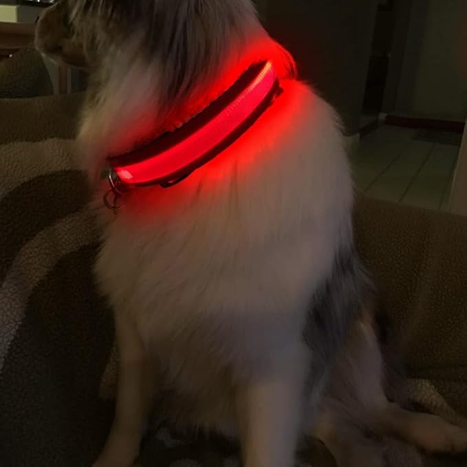 MASBRILL LED Dog Collar - Light Up, Rechargeable, Waterproof, Glow Collar for Small to Large Dogs