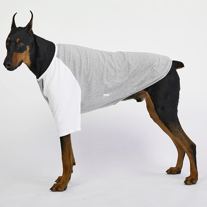Dog Shirt for Small and Large Dogs Raglan Cotton T-Shirts Soft Breathable Dog Shirts pet Clothes Gray Series (5X-Large, Gray/White)