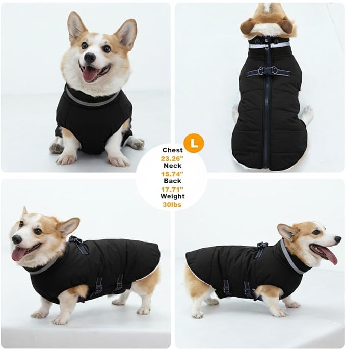 Medium Dog Coat with Harness Built-in, Waterproof Reflective Fleece Lined - Warm Windproof Winter Jacket with Back Zipper, Cold Weather Snow Dog Coats - Black - M