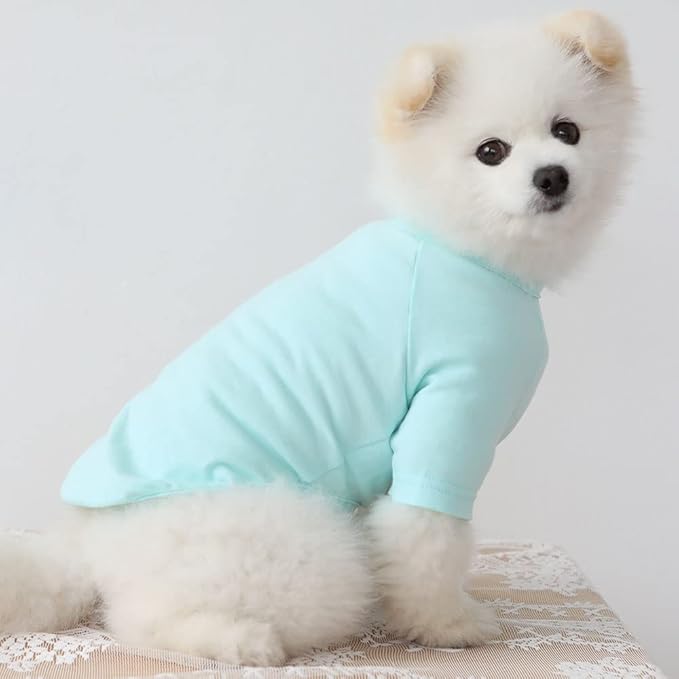 Dog Shirt for Small Dogs Plain T-Shirts Soft Breathable Dog Cotton Shirt pet Clothes (Small, Mint)