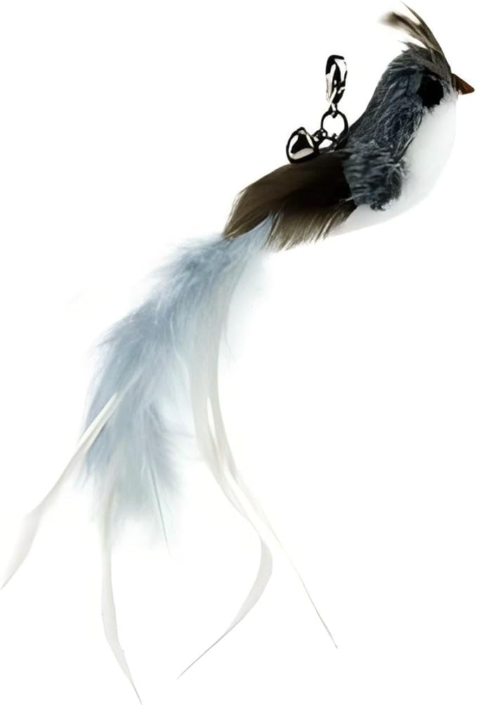 Deluxe Bird Replacement Heads for Cat Toys - Set of 5 - Realistic Feather Designs Including Blue Floral, Two-Tone, Traditional, Black & White, Green Hummingbird - Easy Clip-On