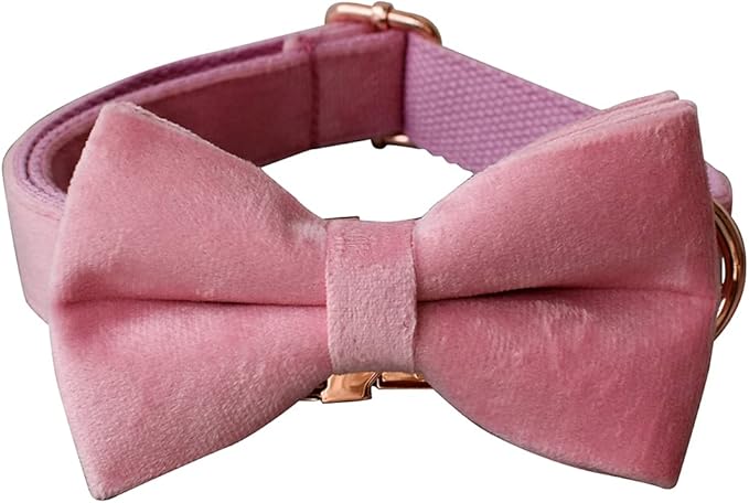 Dog Collar Custom Personalized Engraved Name and Phone Number for Puppy Small Medium Large Pets (S, Pink)