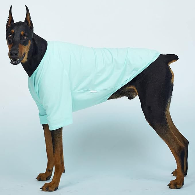 Dog Shirt for Small Dogs Plain T-Shirts Soft Breathable Dog Cotton Shirt pet Clothes (2X-Large, Mint)