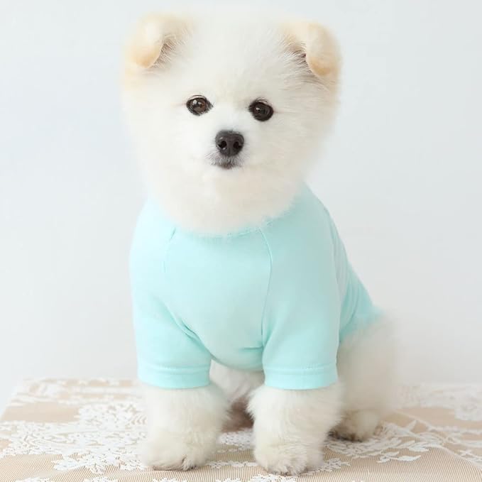 Dog Shirt for Small Dogs Plain T-Shirts Soft Breathable Dog Cotton Shirt pet Clothes (X-Small, Mint)