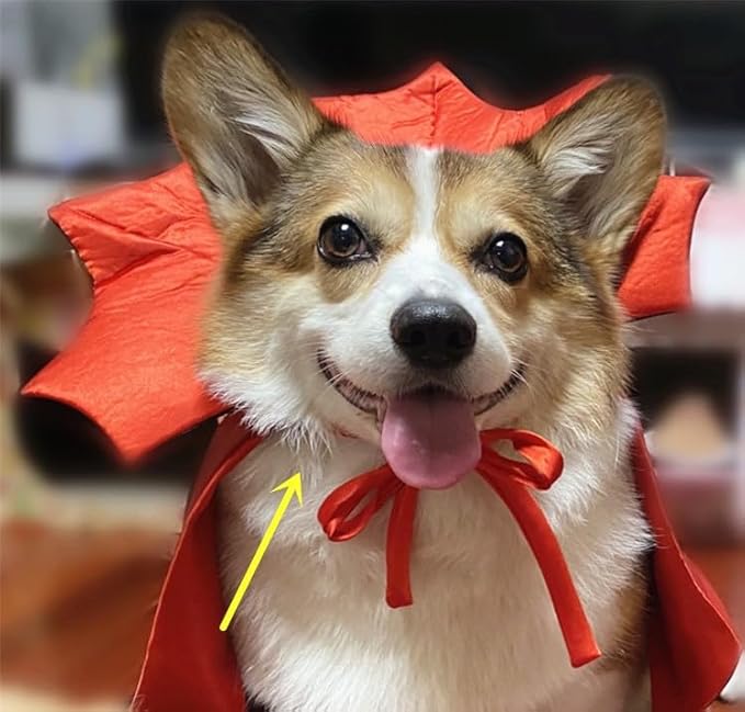 Halloween Pet Cape | Vampire King Dog Halloween Costume, Cat Halloween Costume Outfit, Funny Dog Dress Up for Small Dogs, Cats, Puppies, Kittens, Pet Halloween Clothes for Parties & Photos