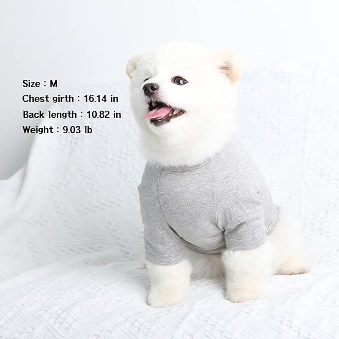 Dog Shirt for Small Dogs Plain T-Shirts Soft Breathable Dog Cotton Shirt pet Clothes (Medium, Gray)