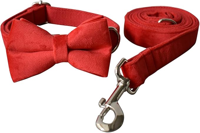 Dog Collar Custom Personalized Engraved Name and Phone Number for Puppy Small Medium Large Pets (M, Red)