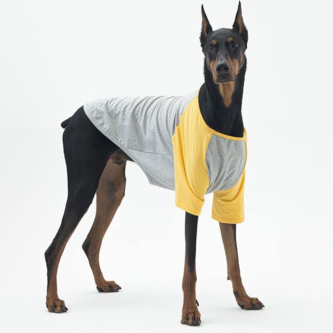 Dog Shirt for Small and Large Dogs Raglan Cotton T-Shirts Soft Breathable Dog Shirts pet Clothes Gray Series (5X-Large, Gray/Yellow)
