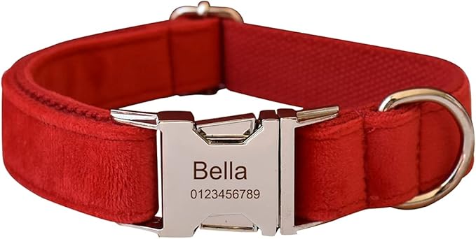 Dog Collar Custom Personalized Engraved Name and Phone Number for Puppy Small Medium Large Pets (M, Red)