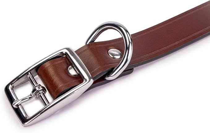 King Buck Leather Dog Collar with D Ring, Leather, Large