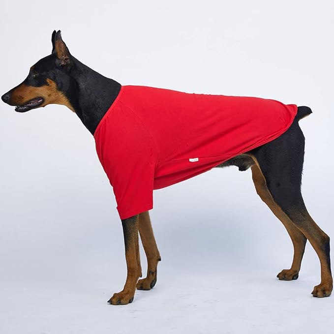 Dog Shirt for Small Dogs Plain T-Shirts Soft Breathable Dog Cotton Shirt pet Clothes (5X-Large, Red)
