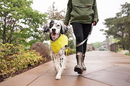 Goldpaw Rainpaw Waterproof Dog Raincoat - Durable Dog Rain Jacket for All Seasons - Easy to Wear, Adjustable, Premium Pet Outerwear - Made in The USA - Machine Washable - Black Bean - Size 10